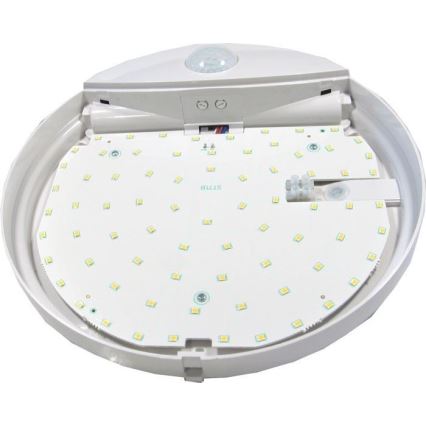 Utomhus LED taklampa  med sensor  LED/15W/230V IP44
