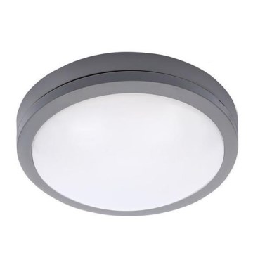 Utomhus LED taklampa  med sensor  SIENA LED/20W/230V 4000K IP54