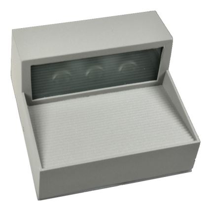 Utomhus LED Väggbelysning BilRI LED/3W/230V IP54