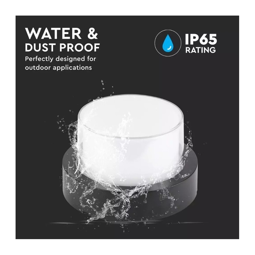 Utomhus LED vägglampa  LED/12W/230V IP65 3000K
