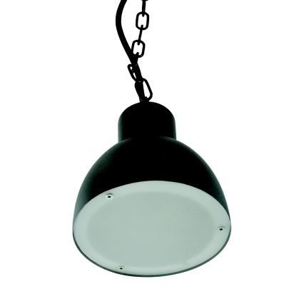 Utomhus Ljuskrona ARNE 1xE27/10W/230V IP44