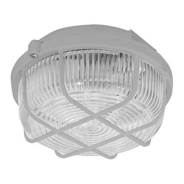 Utomhus Takbelysning 1×E27/100W/230V IP44
