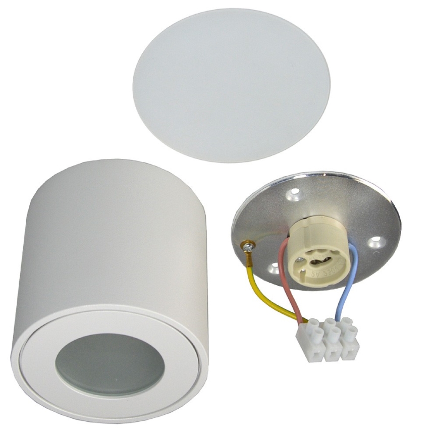 Utomhus Takbelysning FARA 1xGU10/50W/230V IP54 vit