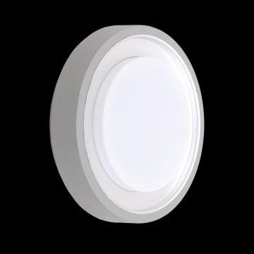 Utomhus Takbelysning ORIGO 1xE27/60W silver