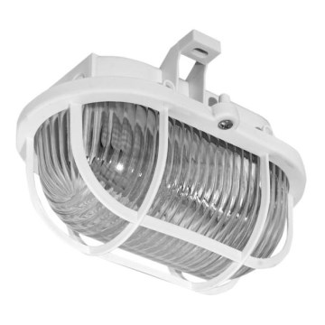 Utomhus Takbelysning OVAL 1xE27/60W/230V IP44