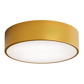 Utomhus taklampa med sensor CLEO 2xE27/24W/230V d. 30 cm guldIP54