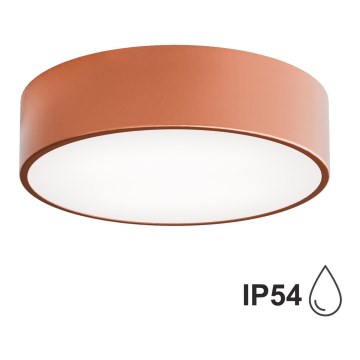 Utomhus taklampa med sensor CLEO 2xE27/24W/230V d. 30 cm koppar IP54