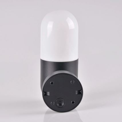 Utomhus Väggbelysning HORTEN 1xE27/10W/230V IP44