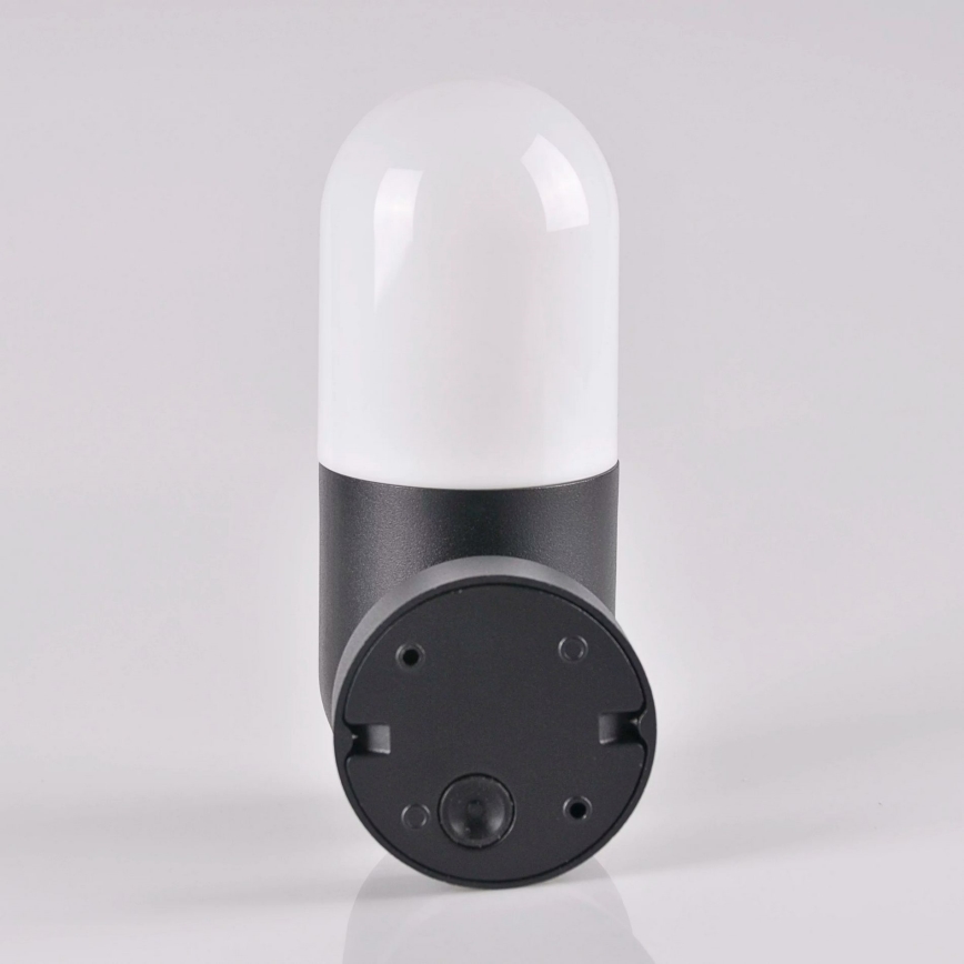 Utomhus Väggbelysning HORTEN 1xE27/10W/230V IP44