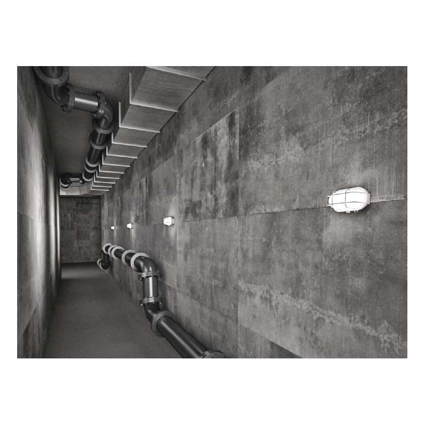 Utomhus Väggbelysning OVAL 1xE27/60W/230V vit IP44