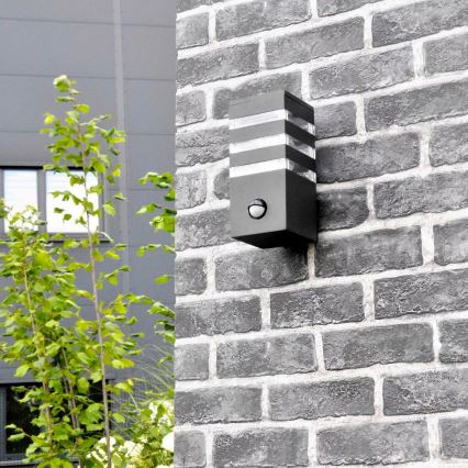 Utomhus vägglampa med sensor TEKSAS 1xE27/12W/230V IP44 antracit