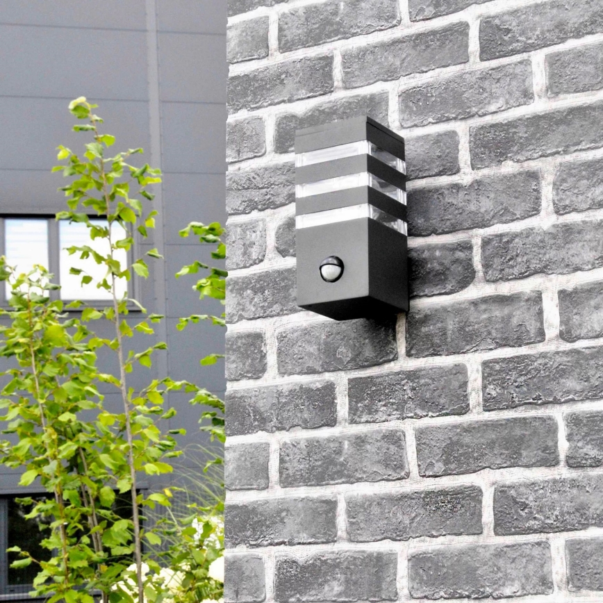 Utomhus vägglampa med sensor TEKSAS 1xE27/12W/230V IP44 antracit