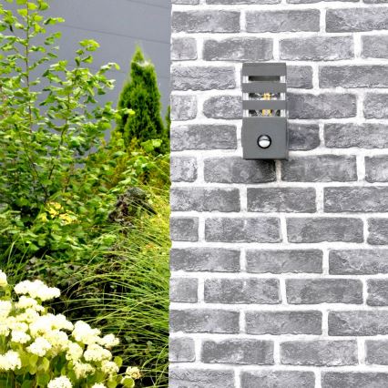 Utomhus vägglampa med sensor TEKSAS 1xE27/12W/230V IP44 antracit
