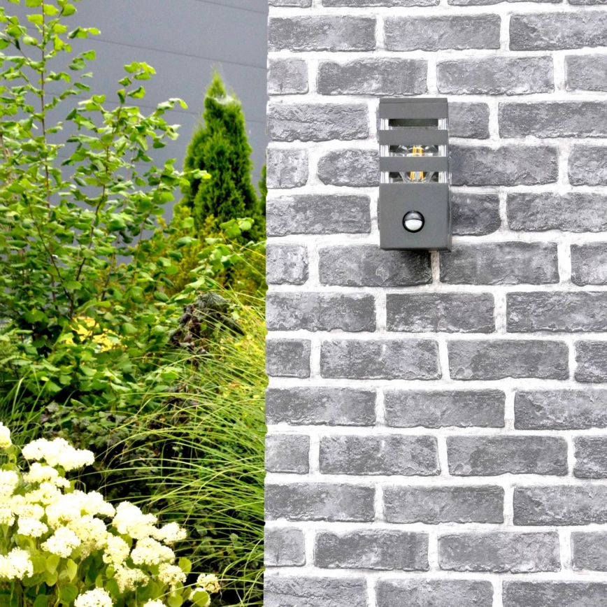 Utomhus vägglampa med sensor TEKSAS 1xE27/12W/230V IP44 antracit