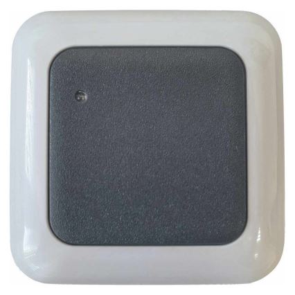 Utomhuslampa med rörelsesensor HF 1200W/230V IP44