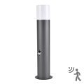 Utomhuslampa med sensor DALLAS 1xE27/12W/230V IP44 antracit