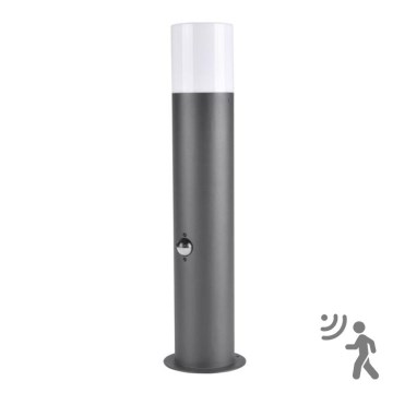 Utomhuslampa med sensor DALLAS 1xE27/12W/230V IP44 antracit