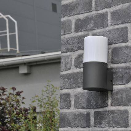 Utomhus vägglampa DALLAS 1xE27/12W/230V IP44 antracit
