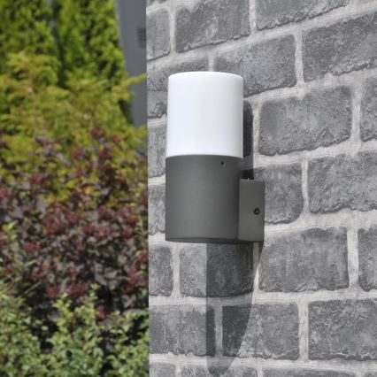 Utomhus vägglampa DALLAS 1xE27/12W/230V IP44 antracit