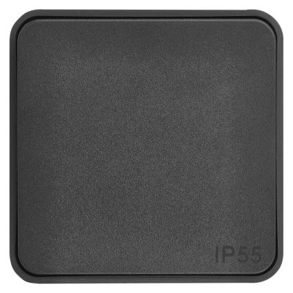 Väggbrytare för kontakt Påsättning 250V/10A IP55