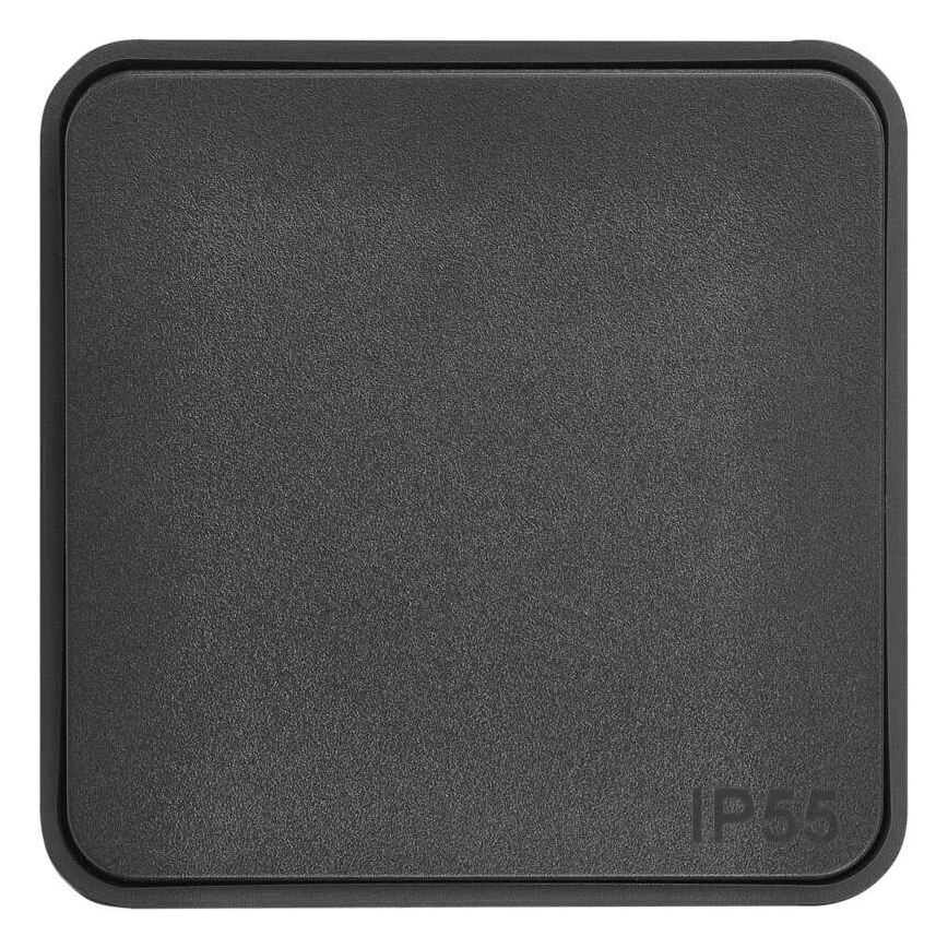 Väggbrytare för kontakt Påsättning 250V/10A IP55