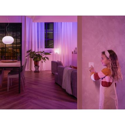 Väggbrytarmodul Philips Hue SWITCH