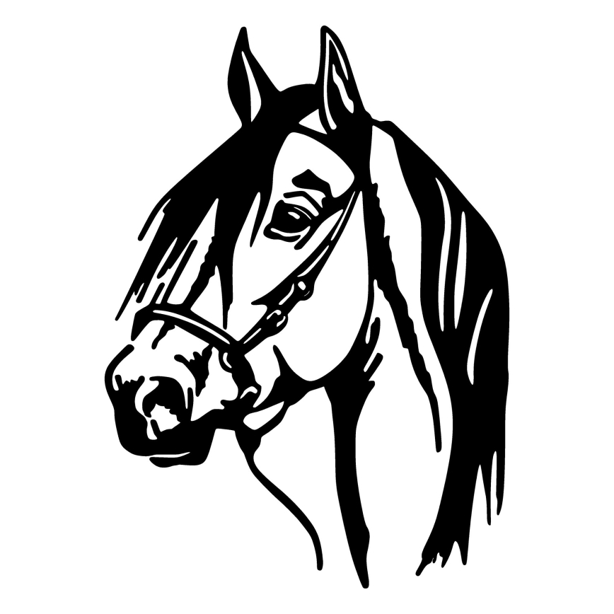 Väggdekoration 55x40 cm horse