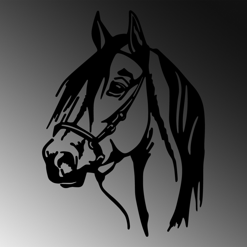 Väggdekoration 55x40 cm horse