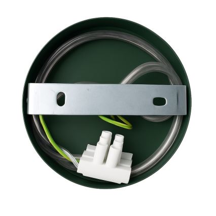 Vägglampa CAPITAL 1xGX53/15W/230V grön