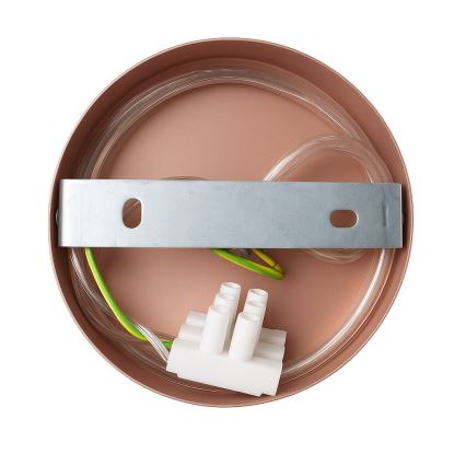 Vägglampa CAPITAL 1xGX53/15W/230V roséguld