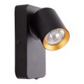 Väggspotlight ANDY 1xGU10/8W/230V svart/guld