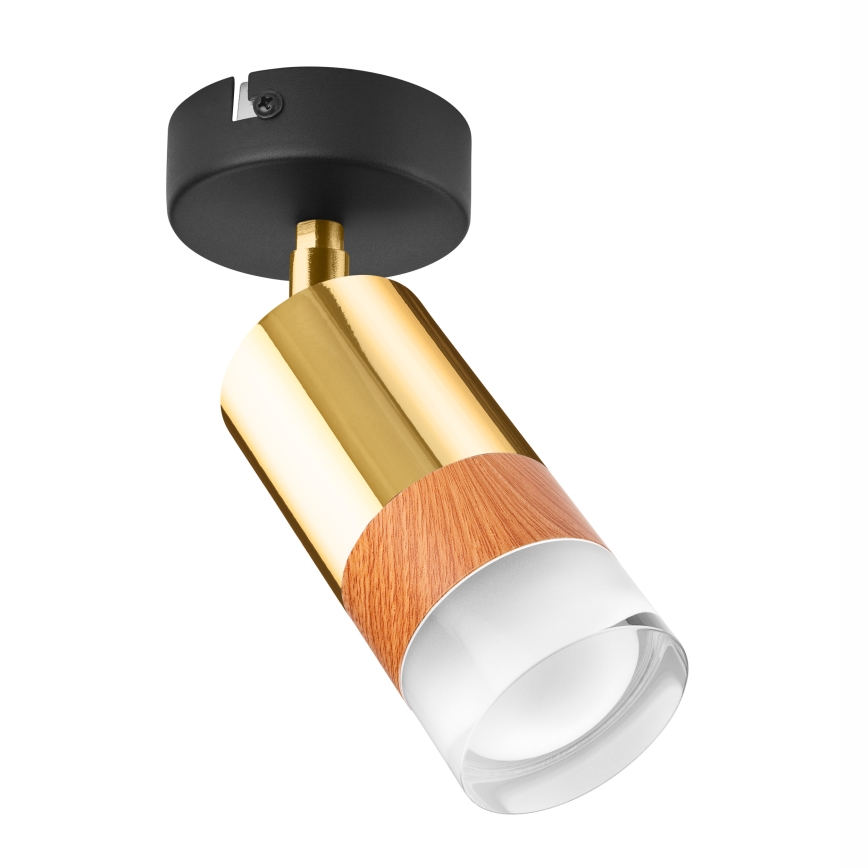 Väggspotlight AURORA 1xGU10/10W/230V