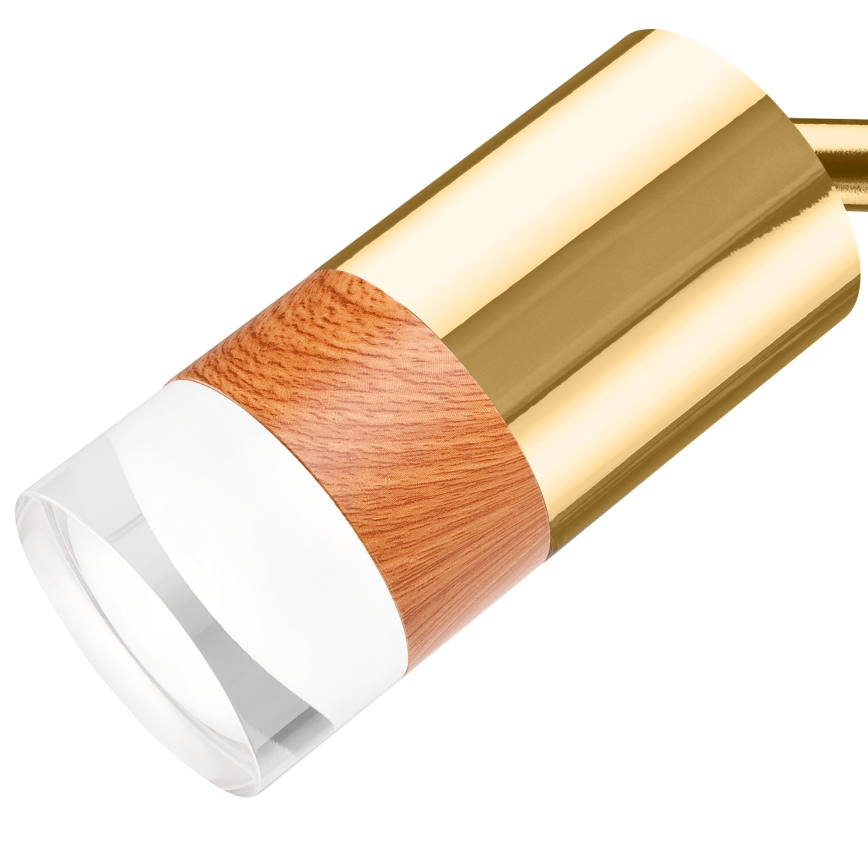 Väggspotlight AURORA 1xGU10/10W/230V