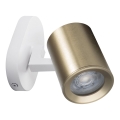 Väggspotlight LAURIN 1xGU10/10W/230V mässing/vit
