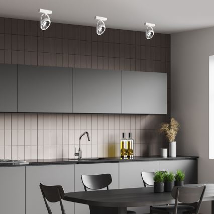 Väggspotlight LUGAR 1xAR111 - GU10/25W/230V
