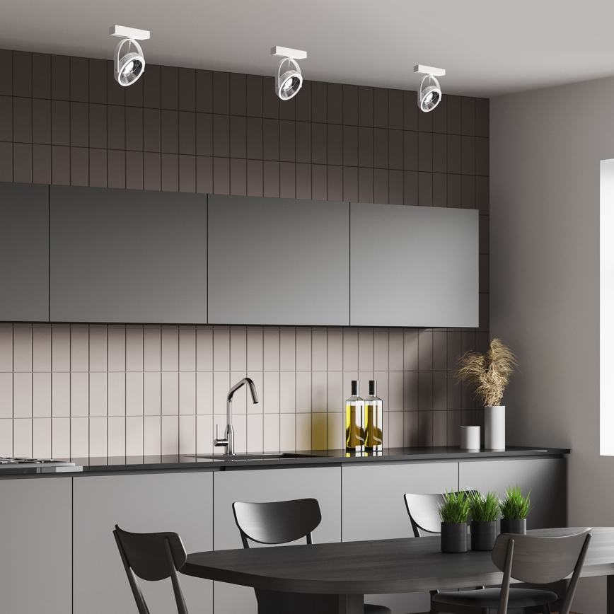 Väggspotlight LUGAR 1xAR111 - GU10/25W/230V