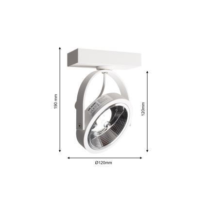 Väggspotlight LUGAR 1xAR111 - GU10/25W/230V