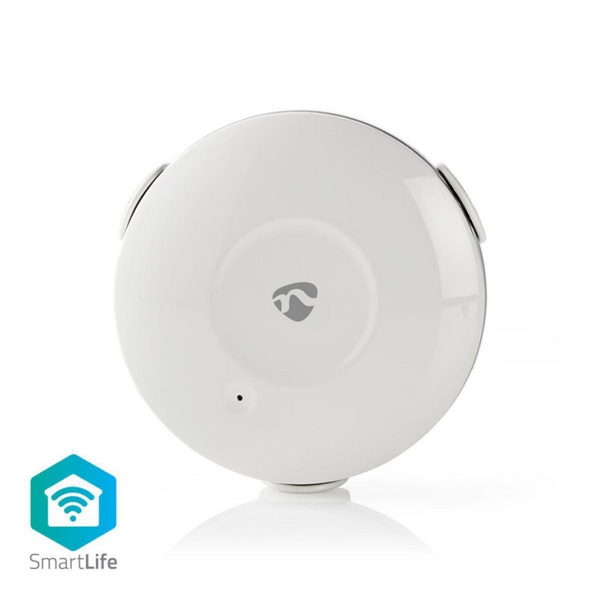 Vattenläckagedetektor 3V/1xCR123A + 1xCR2/20dBm Wi-Fi