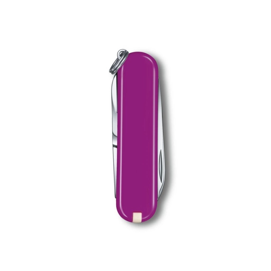Victorinox - Multifunktionell fickkniv CLASSIC SD 5,8 cm/7 funktioner lila