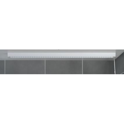 WENKO 23864100 - Duschrullgardin 132x240 cm vit