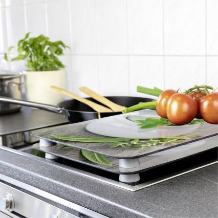 WENKO 2521420100 - Spishällsskydd 52x30 cm flerfärgad/grå/genomskinlig