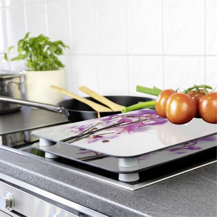 WENKO 2521433500 - Täckplatta - Blomma/Växt 30x52 cm, flerfärgad