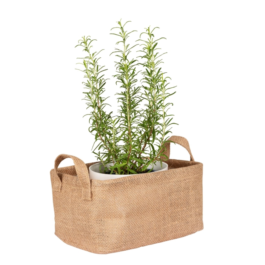 WENKO 64471100 - Korg JUNA 24x17 cm brun