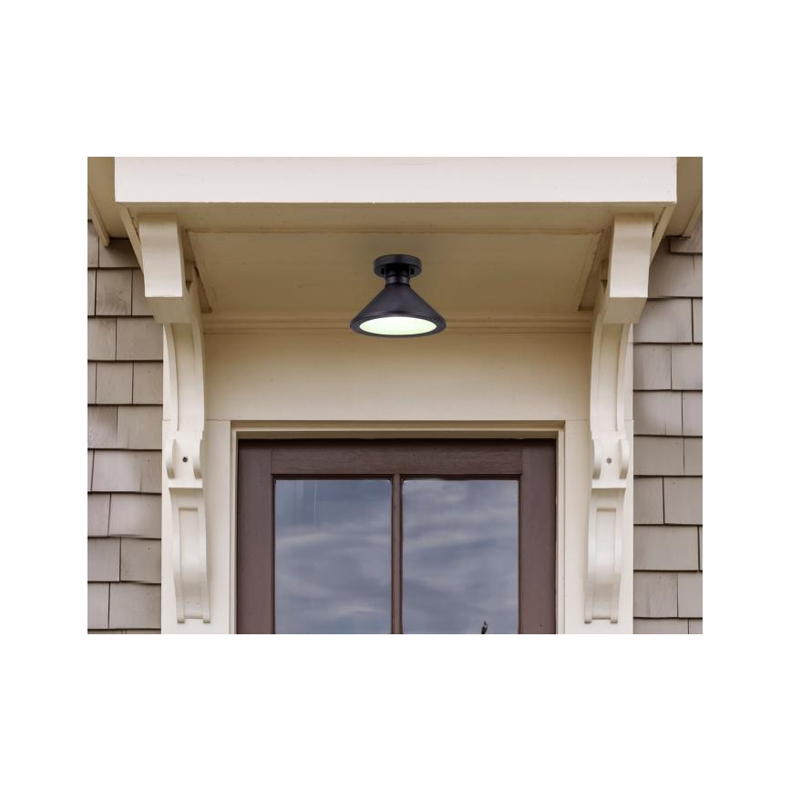Westinghouse 61238 - Taklampa för utomhusbruk WALTER 1xE27/60W/230V IP44