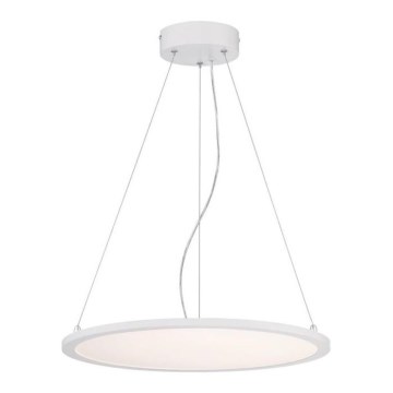 Westinghouse 65751 - LED ljusreglerad ljuskrona på snöre ATLER LED/32W/230V 45 cm