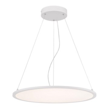 Westinghouse 65775 - LED ljusreglerad ljuskrona på snöre ATLER LED/40W/230V 60 cm