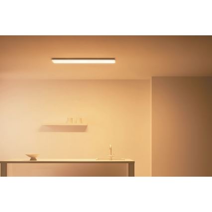 WiZ - LED Dimbar panel SUPERSLIM LED/36W/230V 2700-6500K Wi-Fi vit