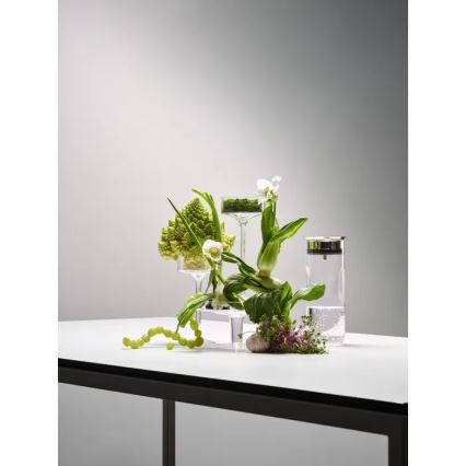 WMF - Vattenkaraff MOTION 800 ml