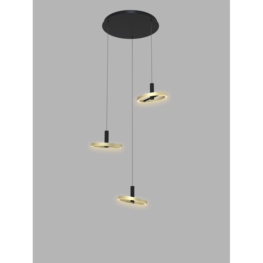 Wofi 5016-304 - LED ljusreglerad ljuskrona på textilsladd BREST LED/26W/230V svart/guld