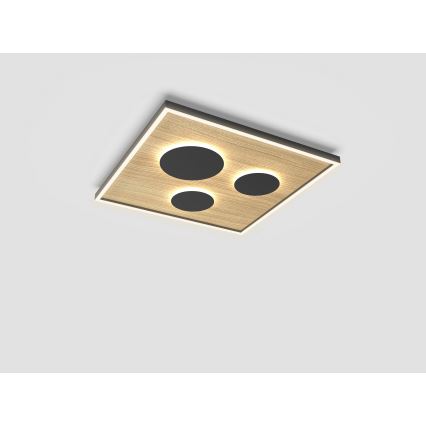 Wofi 9012-306L - LED Dimbar taklampa DIJON LED/40W/230V